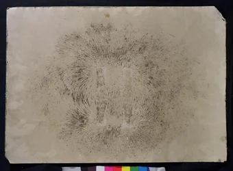 Magnetexperiment av Michael Faraday (1791-1867) (järnspån)